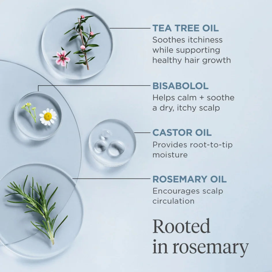 Briogeo Scalp Revival Rosemary Pre-wash Oil For Hair And Scalp 100ml